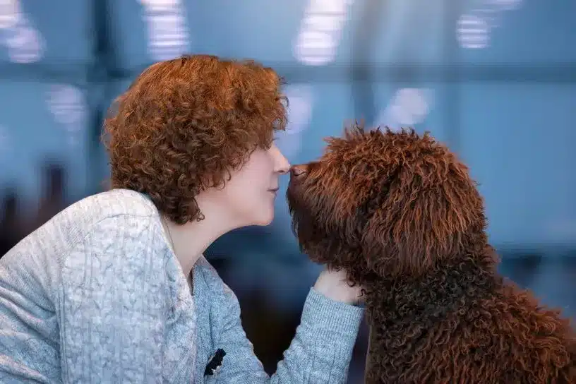 Deux chiens côte à côte dans une pose de portrait de couple