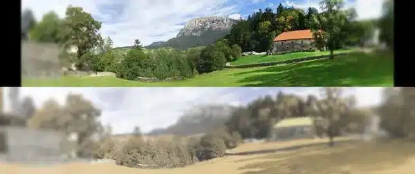 Même scène de jour, en haut vue par un humain, en bas vue par un chat