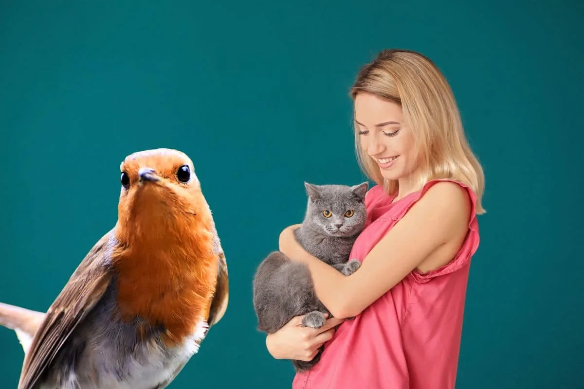 Chat tigré à l'affût dans l'herbe haute d'un jardin