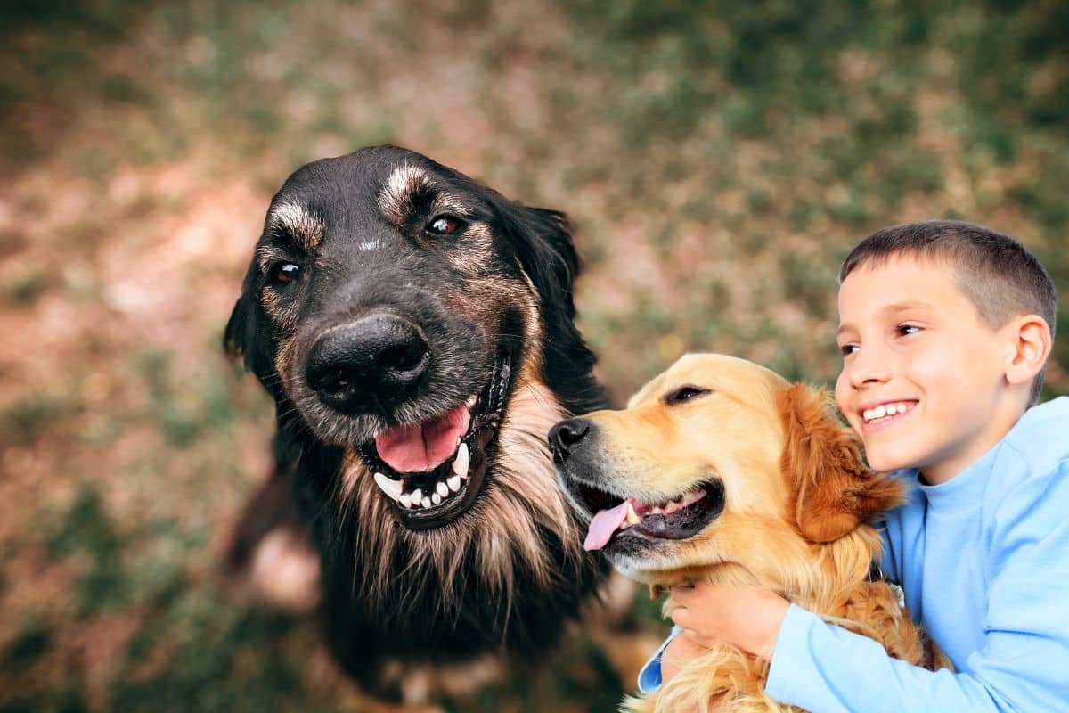 Chien qui aboie museau levé, vu de profil dans un jardin