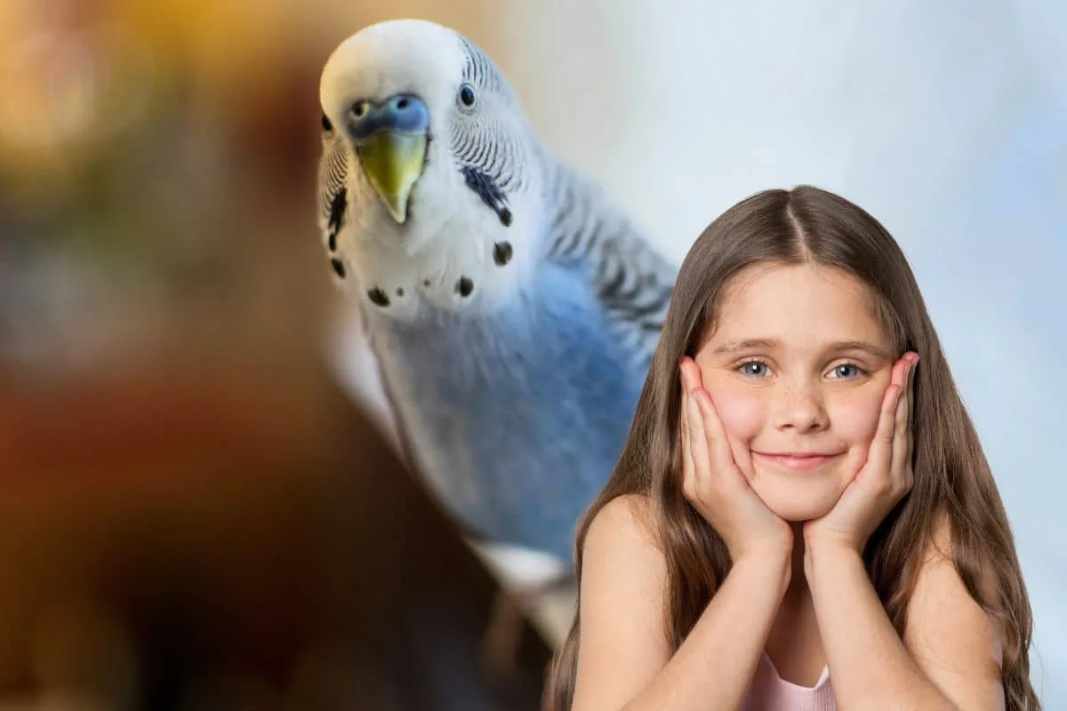 Perruche ondulée verte perchée sur un doigt, près de la porte de sa cage