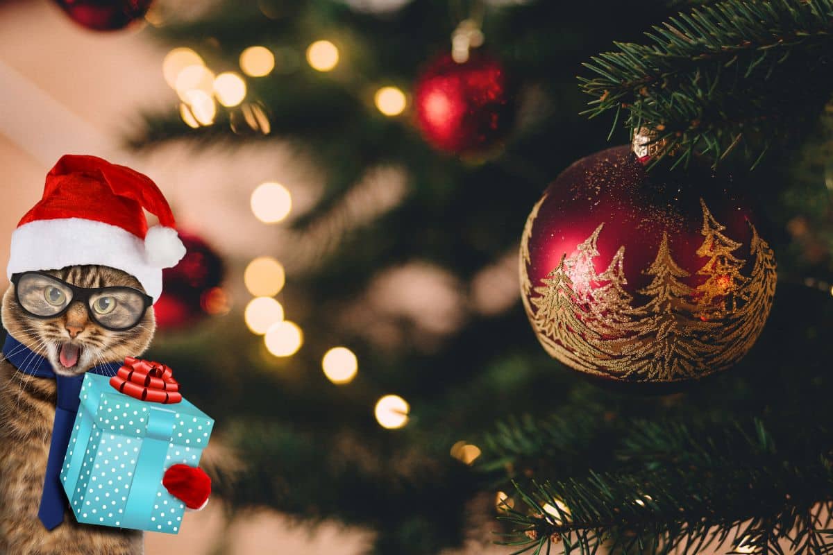 Chat roux assis au pied d'un sapin décoré, une patte tendue vers une boule suspendue
