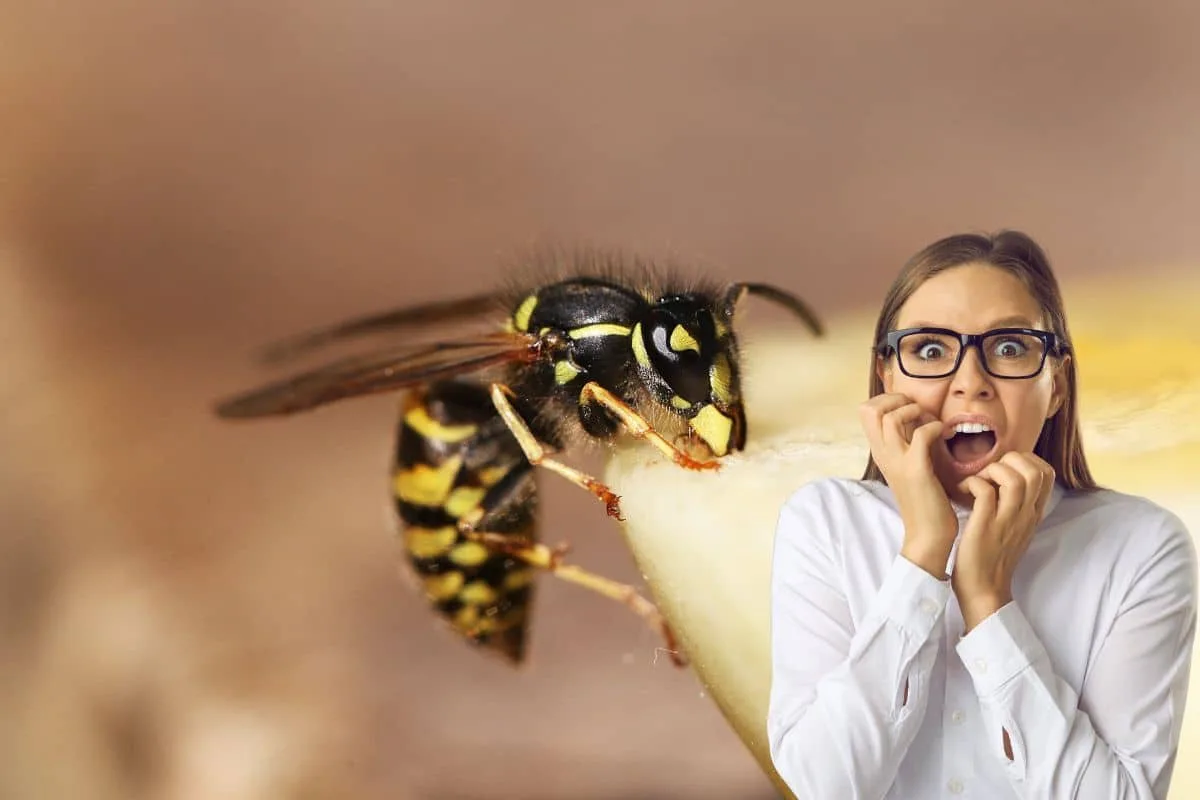 Bras rougi par une piqûre de guêpe, avec une compresse froide posée dessus