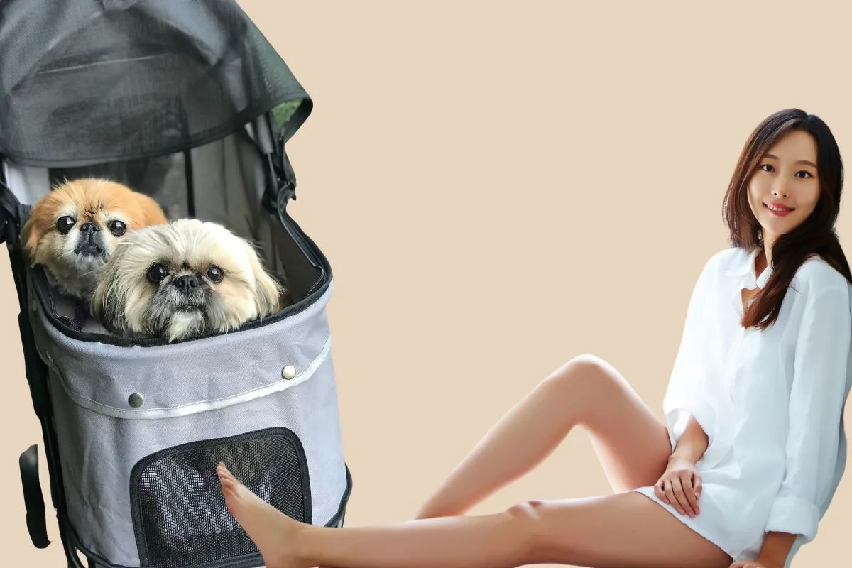 Petit chien blanc installé dans une poussette pour animaux lors d'une promenade urbaine